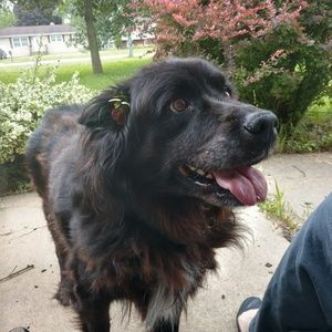 Meet your Posher, Abbey